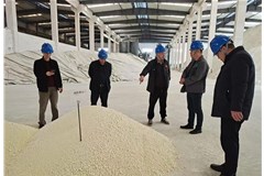 湖南省散墙办、省硅酸盐学会、省建材标委会、省建材联合会领导一行莅临中邦走访调研